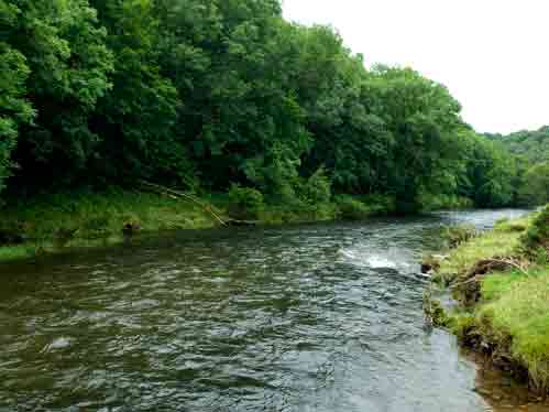 Otter Ledges