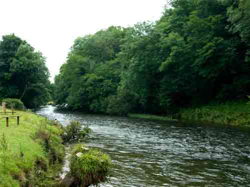 Otter Ledges